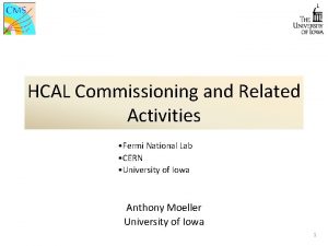 HCAL Commissioning and Related Activities Fermi National Lab
