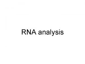 RNA analysis RNA isolation c DNA synthesis RTPCR