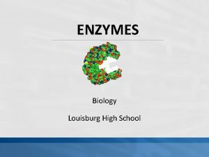 ENZYMES Biology Louisburg High School MA Standard 1