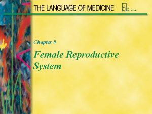 Chapter 8 Female Reproductive System Female Reproductive System