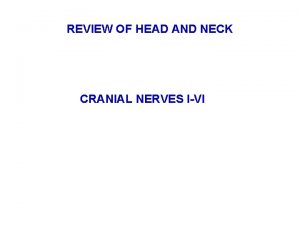 REVIEW OF HEAD AND NECK CRANIAL NERVES IVI