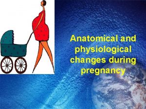 Anatomical and physiological changes during pregnancy Outlines Introduction