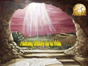 Celebramos hoy con alegra a Cristo Resucitado y