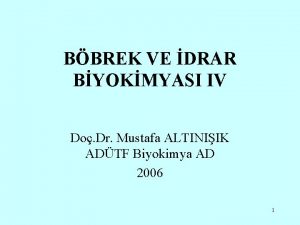 BBREK VE DRAR BYOKMYASI IV Do Dr Mustafa
