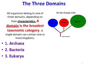 The Three Domains All organisms belong to one