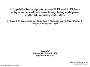 Krppellike transcription factors KLF 1 and KLF 2