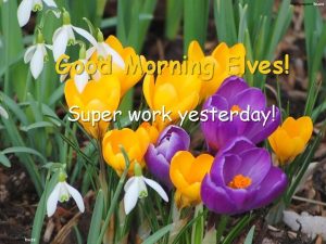 Good Morning Elves Super work yesterday Green group