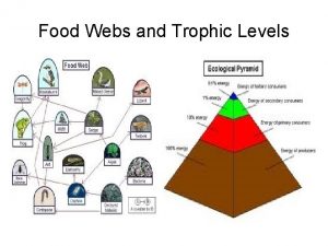 Food Webs and Trophic Levels Often ecosystems are