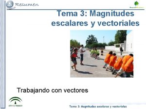 Tema 3 Magnitudes escalares y vectoriales Trabajando con