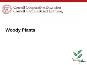 Woody Plants Learning Objectives We will Acknowledge the
