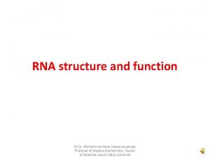 RNA structure and function By Dr Mohammed Hosny