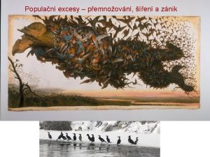 Populan excesy pemnoovn en a znik Nelinern efekty