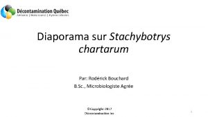 Diaporama sur Stachybotrys chartarum Par Rodrick Bouchard B