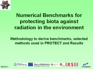 Numerical Benchmarks for protecting biota against radiation in