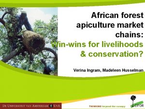African forest apiculture market chains Winwins for livelihoods