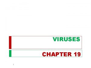 VIRUSES CHAPTER 19 1 OVERVIEW Viruses called bacteriophages
