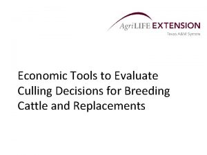 Economic Tools to Evaluate Culling Decisions for Breeding