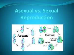 Asexual vs Sexual Reproduction 1 Asexual Reproduction Requires