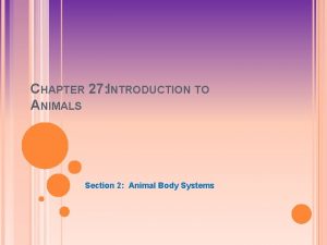 CHAPTER 27 INTRODUCTION TO ANIMALS Section 2 Animal