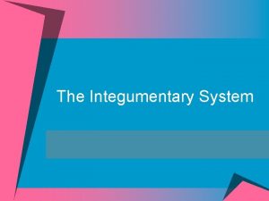 The Integumentary System Integumentary System Includes Skin cutaneous
