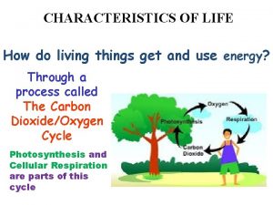 CHARACTERISTICS OF LIFE All living things use energy