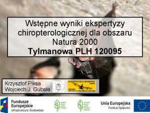 Wstpne wyniki ekspertyzy chiropterologicznej dla obszaru Natura 2000