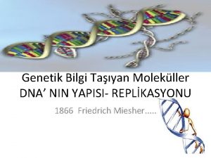 Genetik Bilgi Tayan Molekller DNA NIN YAPISI REPLKASYONU