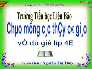 Gio vin Nguyn Th Thy Th ba ngy