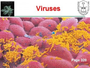 Viruses Page 328 1 Objectives Describe why viruses