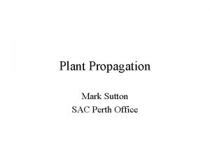 Plant Propagation Mark Sutton SAC Perth Office Propagation