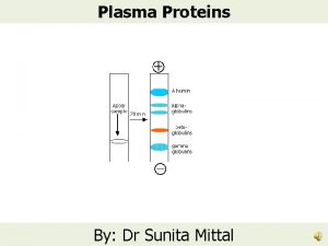 Plasma Proteins By Dr Sunita Mittal Learning Objectives
