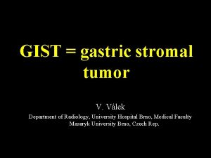 GIST gastric stromal tumor V Vlek Department of