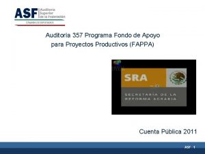 Auditora 357 Programa Fondo de Apoyo para Proyectos