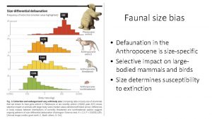 Faunal size bias Defaunation in the Anthropocene is