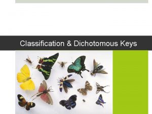 Classification Dichotomous Keys How do you differentiate between