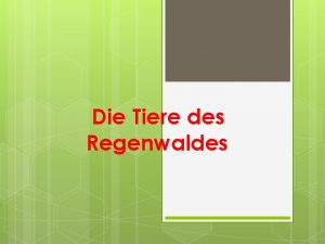 Die Tiere des Regenwaldes L O To create