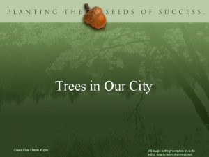 Trees in Our City Coastal Plain Climate Region