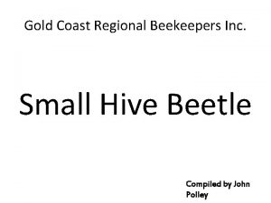 Gold Coast Regional Beekeepers Inc Small Hive Beetle