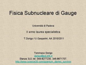 Fisica Subnucleare di Gauge Universit di Padova II