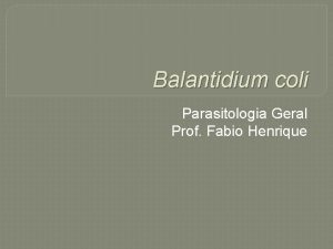 Balantidium coli Parasitologia Geral Prof Fabio Henrique Balantidase