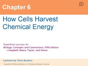 Chapter 6 How Cells Harvest Chemical Energy 0