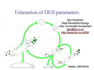 Estimation of DEB parameters Bas Kooijman Dept theoretical