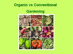 Organic vs Conventional Gardening Basic Introduction to Farming