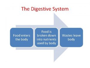 The Digestive System Food enters the body Food