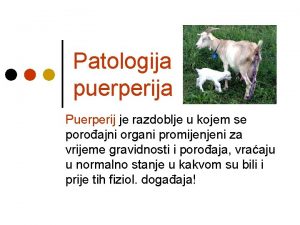 Patologija puerperija Puerperij je razdoblje u kojem se