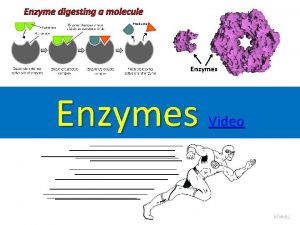 Enzyme digesting a molecule Enzymes Video Proteins are