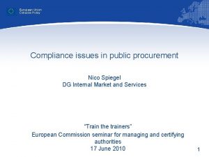 European Union Cohesion Policy Compliance issues in public