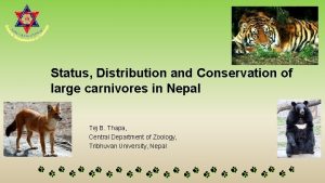 Status Distribution and Conservation of large carnivores in