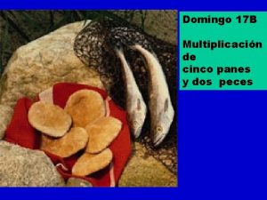 Domingo 17 B Multiplicacin de cinco panes y