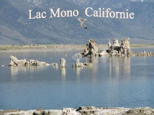 Le lac Mono est un lac sal situ